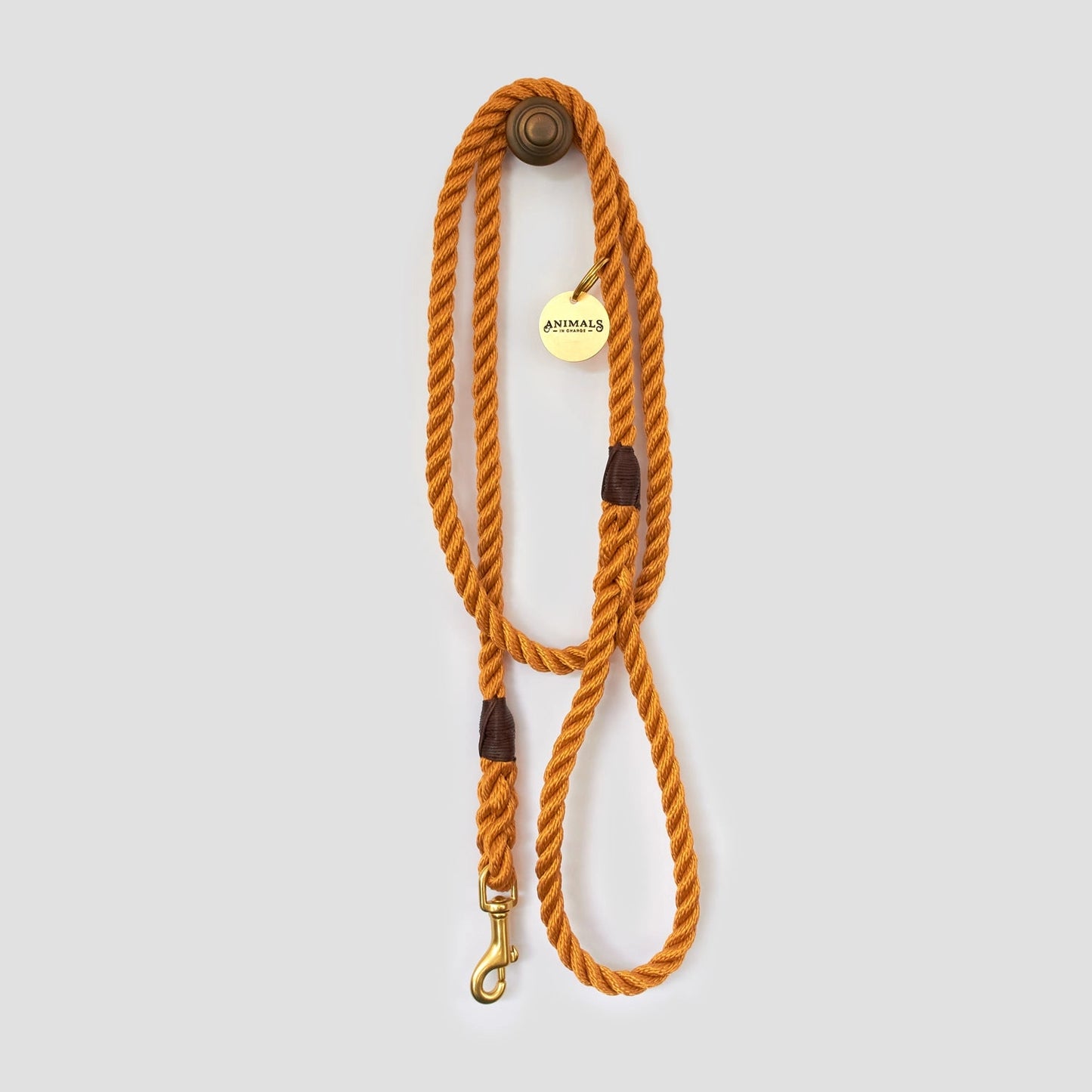 ANIMALS IN CHARGE RECYCLED ROPE DOG LEASH