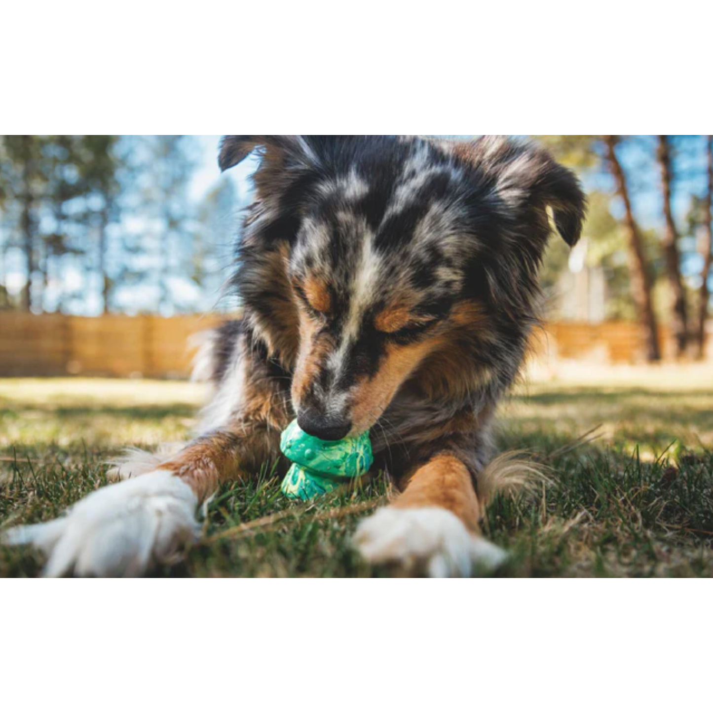 RUFFWEAR TOY TOADSTOOL