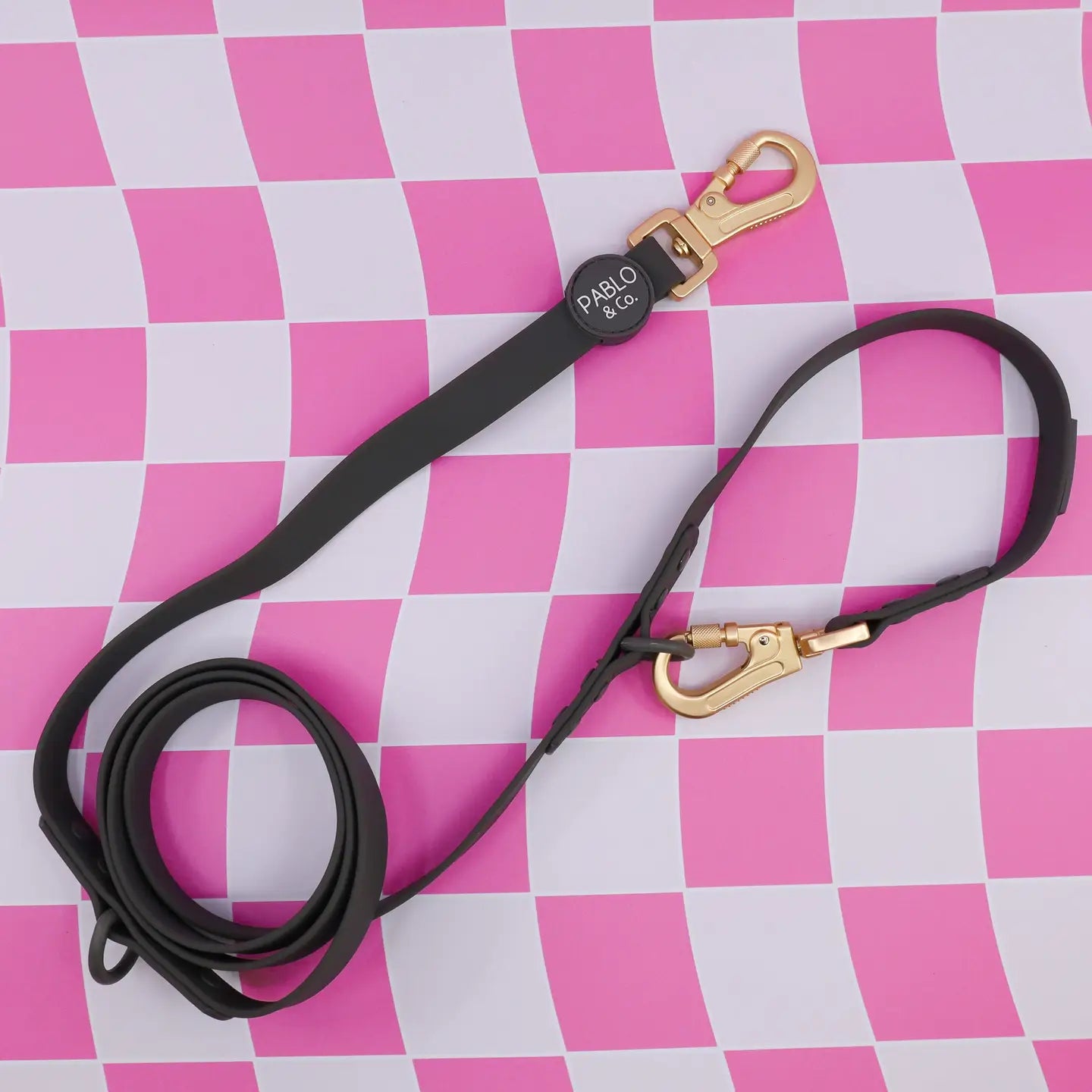 PABLO & CO. MULTI-FUNCTIONAL WATERPROOF LEASH