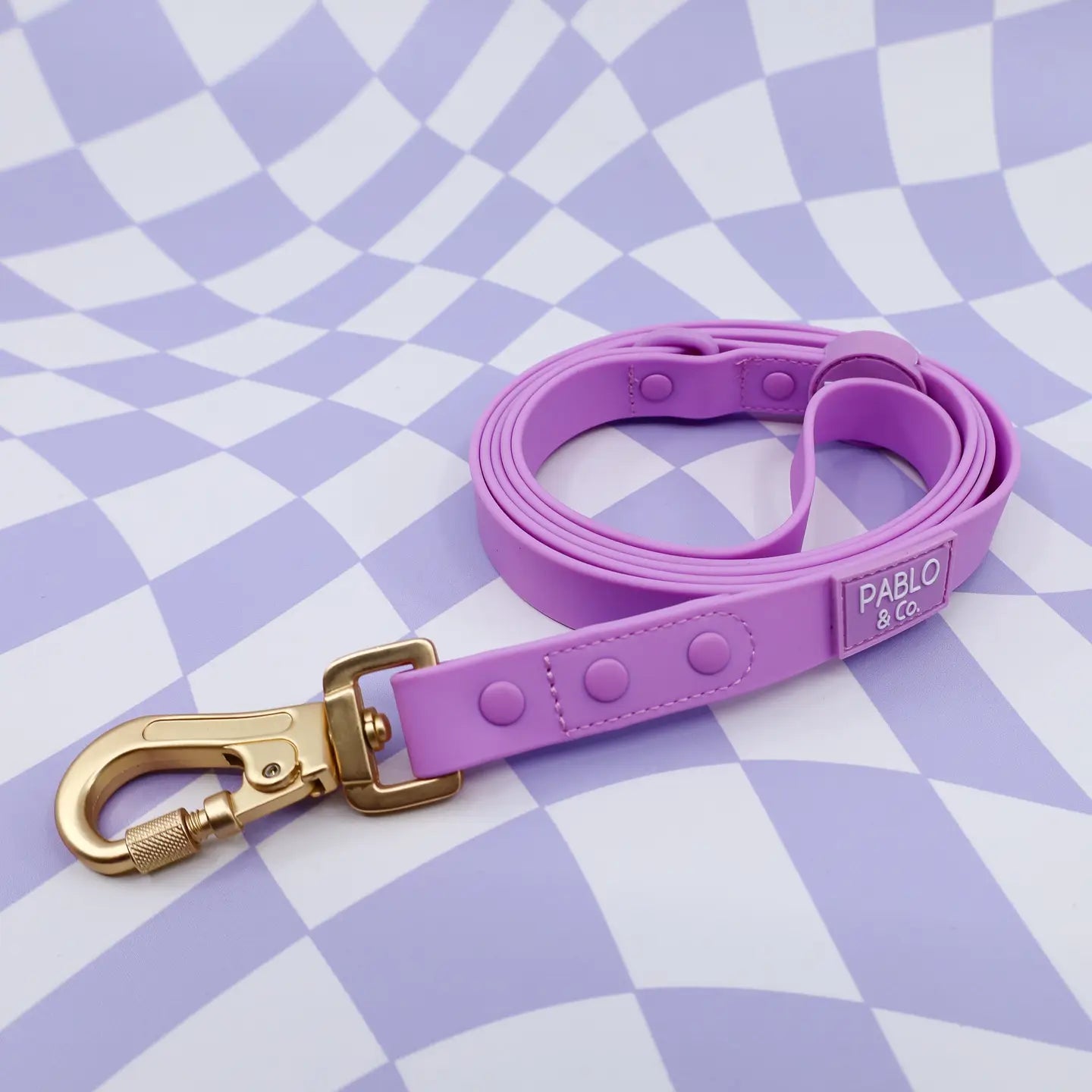 PABLO & CO. MULTI-FUNCTIONAL WATERPROOF LEASH