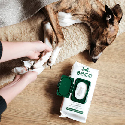 BECO BAMBOO WIPES COCONUT SCENTED 80PK