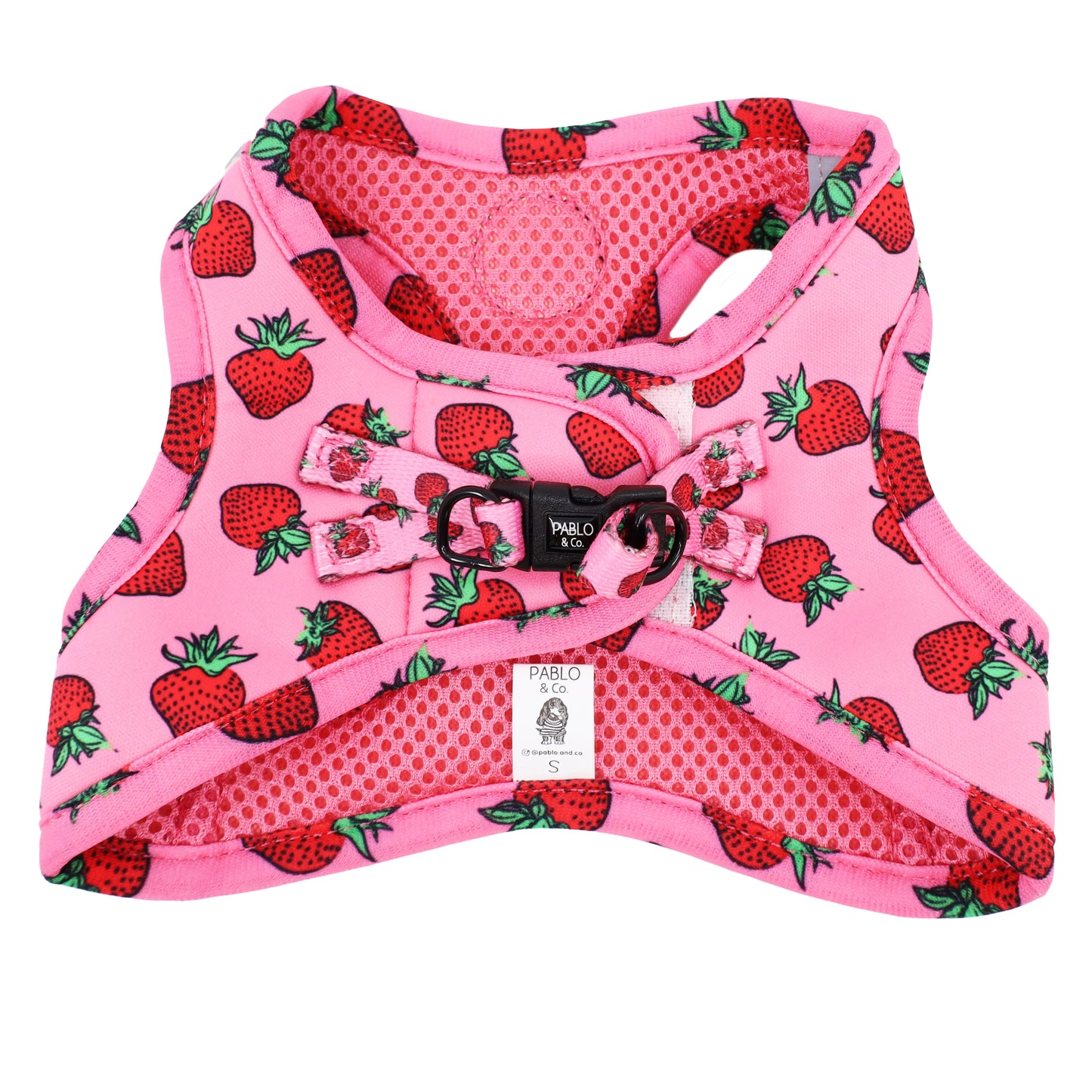 PABLO & CO. CAT STEP IN HARNESS