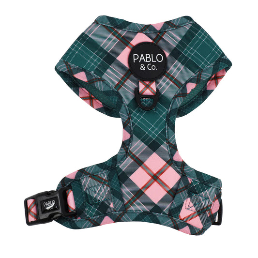 PABLO & CO. ADJUSTABLE HARNESS