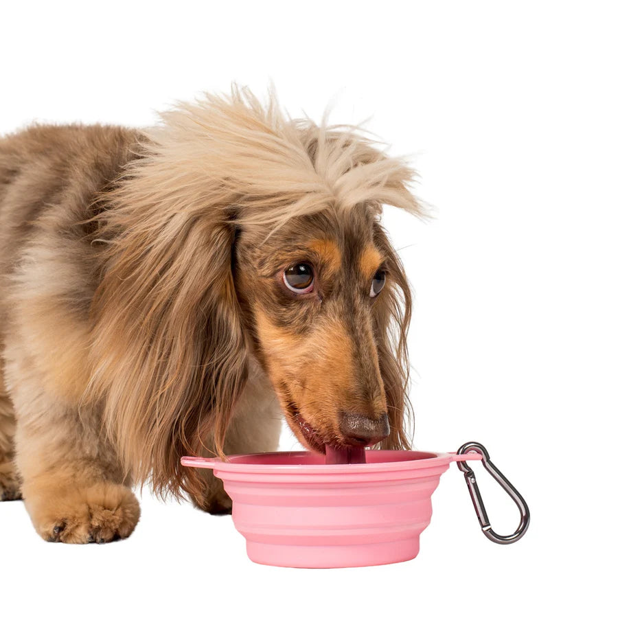 PABLO & CO. COLLAPSIBLE DOG WATER BOWL