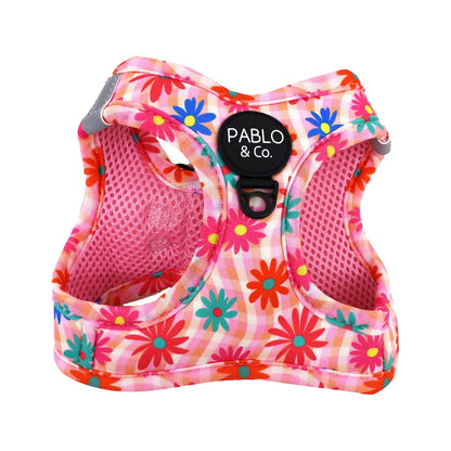 PABLO & CO. CAT STEP IN HARNESS