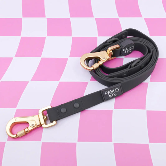 PABLO & CO. MULTI-FUNCTIONAL WATERPROOF LEASH