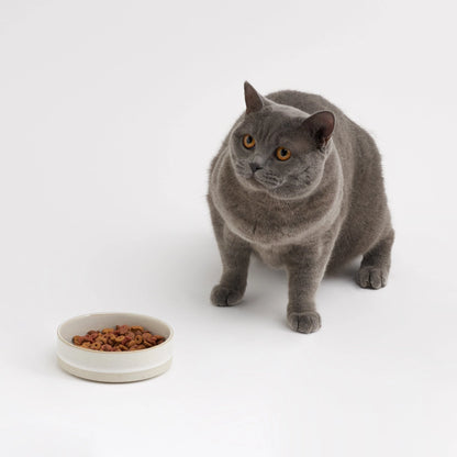 ANIMALS IN CHARGE CAT FOOD BOWL
