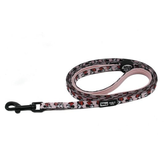 PABLO & CO. DISNEY CAT LEAD